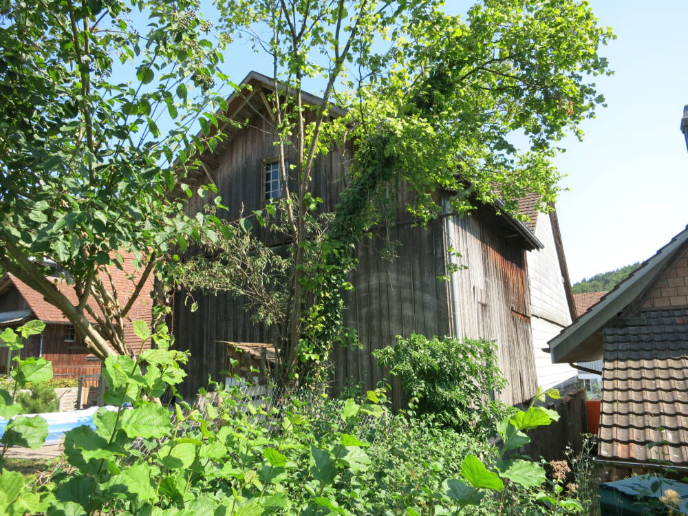 Scheune_Hofstetten_Bestand 8